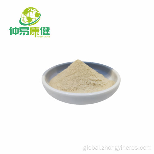 China Ginseng Extract Powder 80% Ginsenosides UV Supplier
